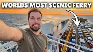 PICTON TO WELLINGTON FERRY (Full Cook Strait Ferry Experience)