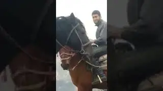 7 июля 2024 г.