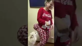 Когда решила повеселить свою собаку #смех #одесса #ржака #смешноевидео #украина #shorts  #катя