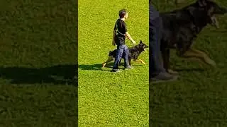 Appiano 2024 punti 96