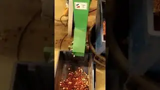 Cassage WAL MAN motorisee NOISETTE 1