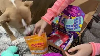 Barkbox January 2022 Opening | Slobber Party