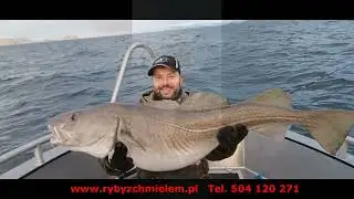 NowySoroya marzec 2024 projekt