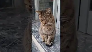 She's waiting her partner
