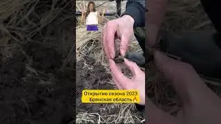 Брянская область🔥Открытие👍2 копейки серебром Николая🔥