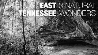 East Tennessee: Three Natural Wonders -- Two Ancient Rock Shelters and a Natural Bridge