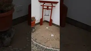 Клумбы своими руками