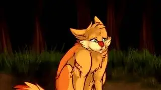 WarriorCats- Dach MAP Part 5