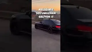 Aşiret paket seven #kurdish #shorts #short #keşfetteyiz #keşfet #trending #shortvideo