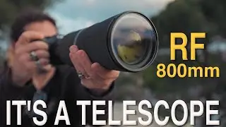 First Experience with the Canon RF 800mm: It's a Game Changer!