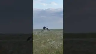 Мугалжар айгырлар #horse #reels #shorts #short #art
