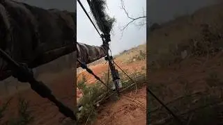 Heartland Bowhunter Decoy Motion System | STRUTT’N 360 Review #turkeyhunting #hunting #outdoors
