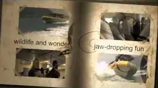 Grasshopper Promo.mov