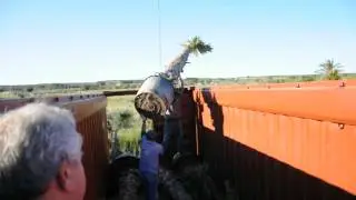 EUP Loading 30.04.2012 - Aliche_01.AVI