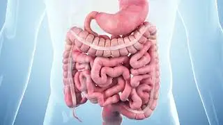 MEDICAL ALBUMS EPISODE 1