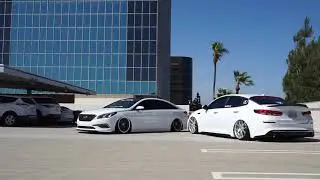 Bagged 2015 Hyundai Sonata & 2019 Kia Optima