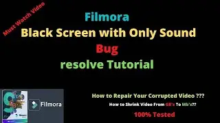 Black Screen Issues with Filmora | Shrink Your Videos | Best Video Converter |Repair Corrupt Videos