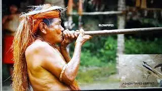 South America:Life in the Amazon Basin Case Study conclusion