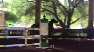 Diamond B Catapulte U25 Young Rider