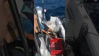 Paracadute da pesca e come calarlo facilmente