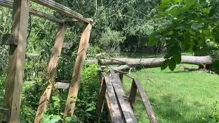 Tree Falls on Backyard Roller Coaster