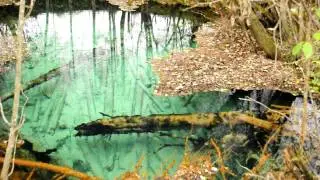 Карстовая воронка с. Бобровское Вологодская область