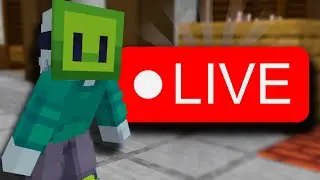 Chilling On The Hive (Parties And Customs)