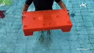 Aqquatix - Come mettere in acqua Puzzle Step