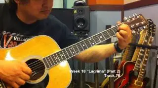 Week 18 Lagrima (Part 2)