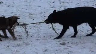 Маша, ее мать и ее тетка