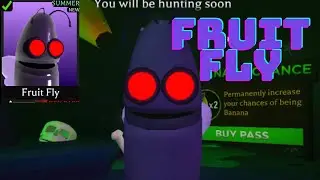 (banana eats) fruit fly