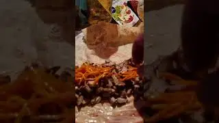 Быстрая шаурма гриль из шашлыка 