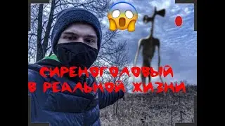 СИРЕНОГОЛОВЫЙ В РЕАЛЬНОЙ ЖИЗНИ! Наткнулся на сиреноголового в лесу! ОДИН В ЗАБРОШКЕ!