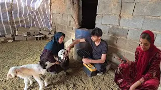 Jamshid's love story. Good news for Zeinab.