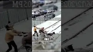БАБУЛЯ В БЕДЕ😱