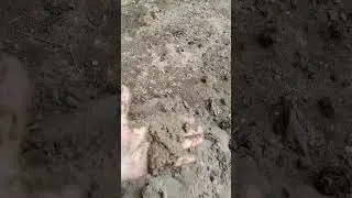 абиссинская скважина