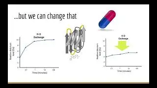 Minute Biophysics - Hydrogen Deuterium Exchange (HDX) Mass spectrometry (Emily)