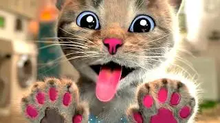 MY CUTE LITTLE KITTEN ADVENTURE 😸 BEST EDUCATIONAL VIDEO FOR PRESCHOOLERS  WITH FUNNY CATS 😸