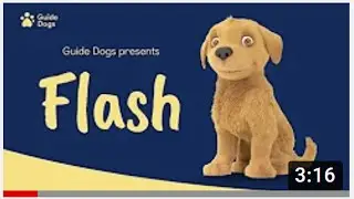 GUIDE DOGS   FLASH ANIMATION