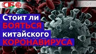 Вирус из Китая: стоит ли бояться коронавируса