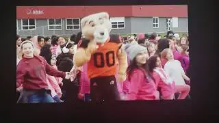 Omni News - Anti-Bullying Flash Mob 2018 (Sean Bindra)