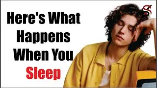 Here's What Happens When You Sleep