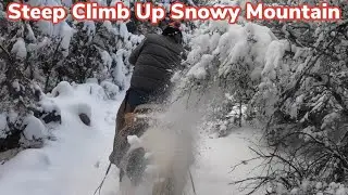 Horse Ride in a Winter Wonderland