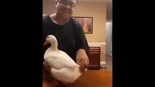 😭😭😭