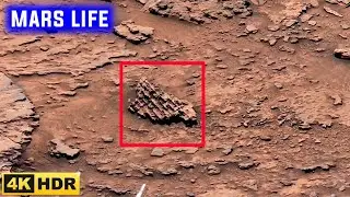 NASA's Mars Rover Takes Most Clear Footage in 4K | Perseverance Rover