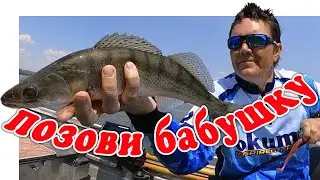 Судак На Дону. Сезон Открыл Отлично ▶ Fishing 2023 