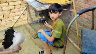 Black Sahrazi Peigen || My Vlog || My pet