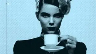 Art de Vivre Elegant Slideshow Project