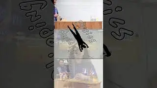 Projectile Motion Example