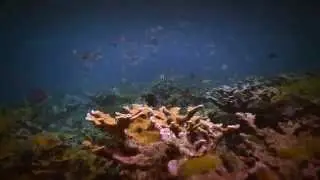 Discover Scuba Diving with Khao Lak Scuba Adventures